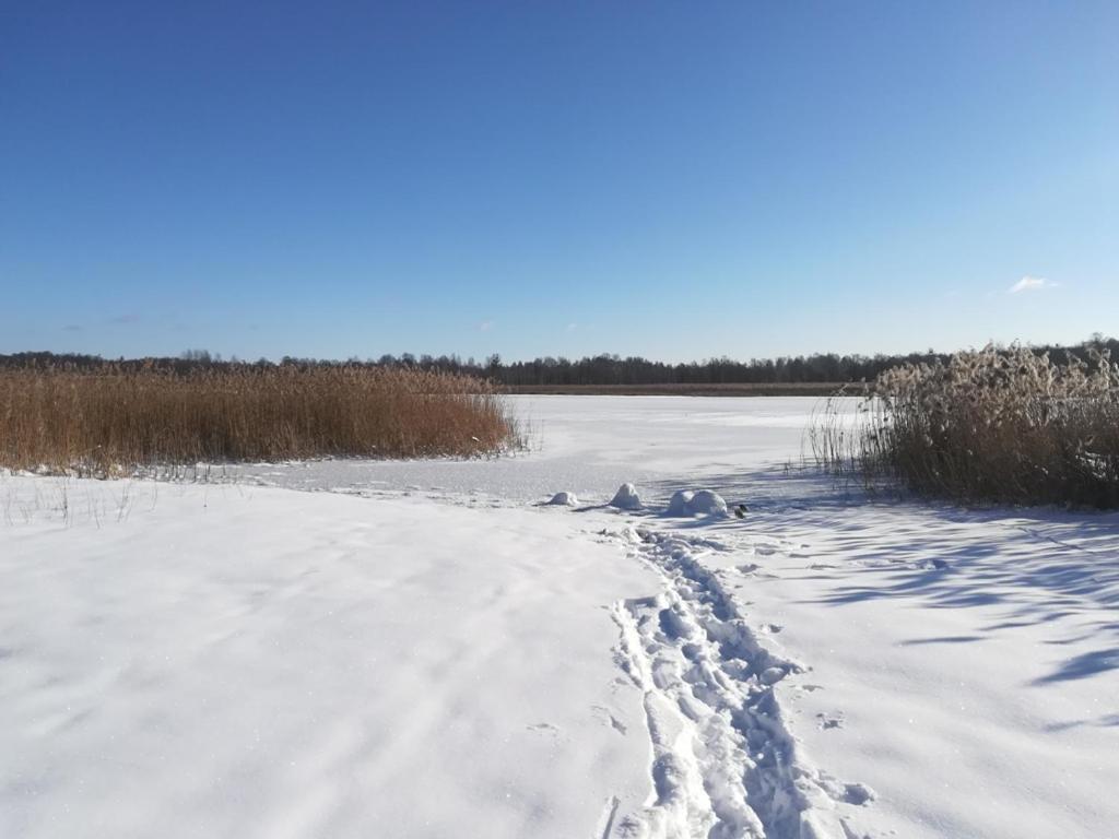 Homestay Chataa Szczechy Male