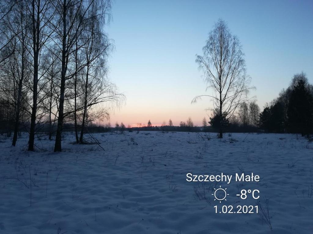 Chataa Szczechy Male
