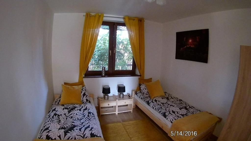 Chataa Szczechy Male