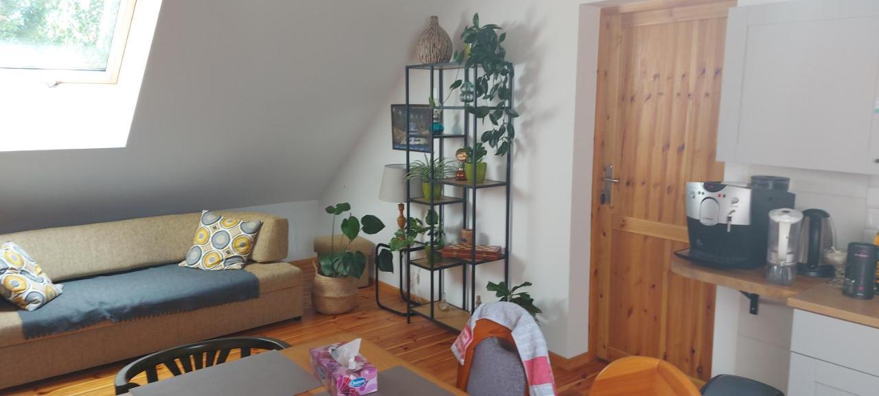 Homestay Chataa Szczechy Male